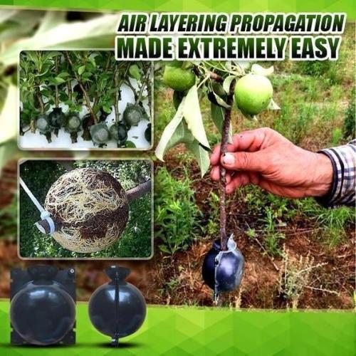 Plant Root Growing Box - Take root quickly and prevent plant root rot