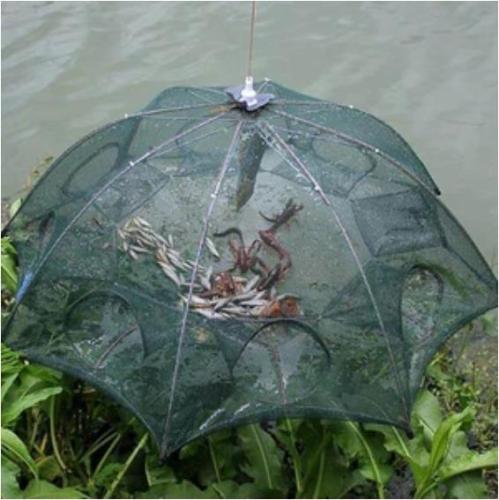 Collapsible Catching Fish Trap