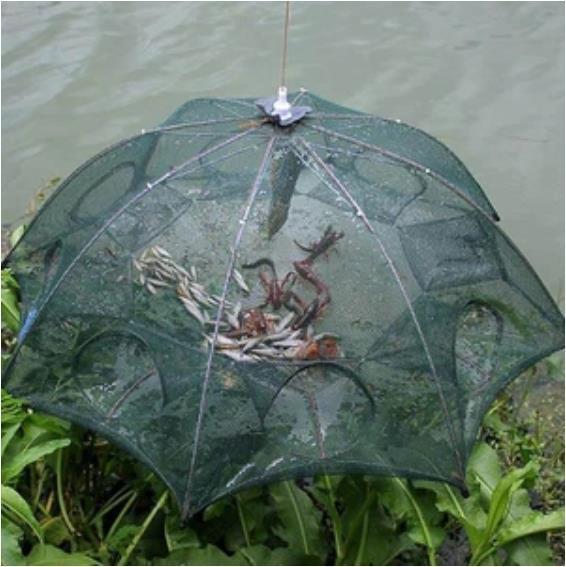 Collapsible Catching Fish Trap
