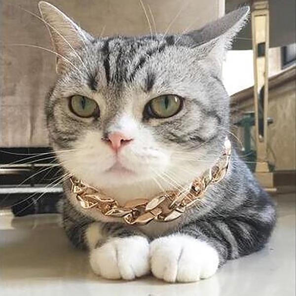 Gold Chain Pets Safety Collar-It is adjustable and fits pets of all sizes