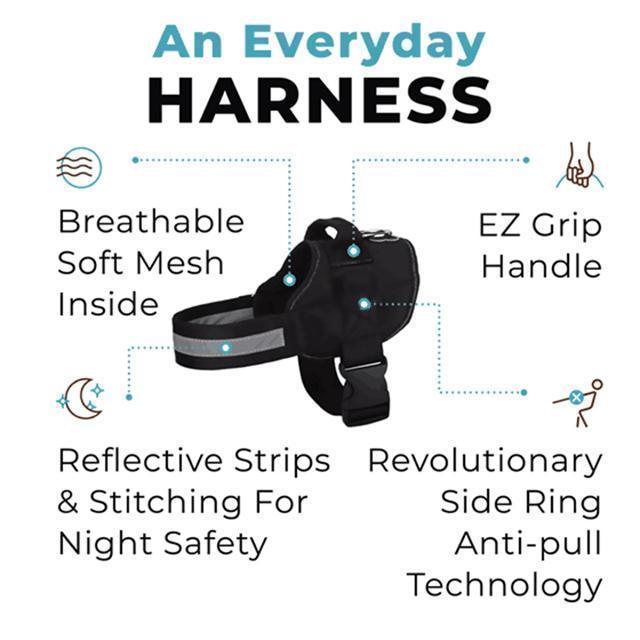 Best Dog Harness That Prevent Dogs From Pulling-Easy on, Easy off