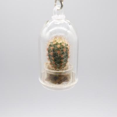 Mini Cactus Keyring