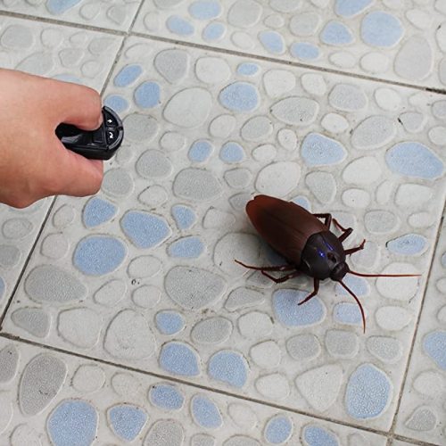 Remote Control Simulation Cockroach