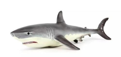 Us 55 99 Lifelike Baby Shark Doll M Sheinv Com