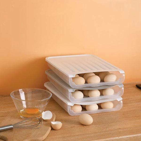 Egg Storage Box-Simple Style
