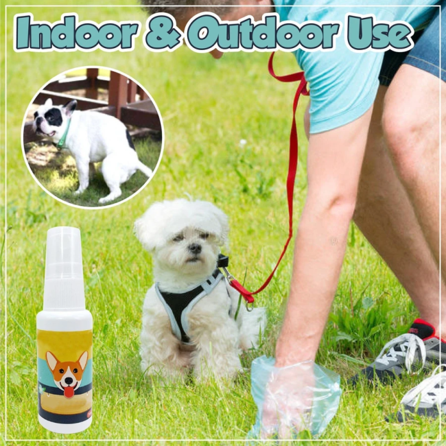 PET TOILET TRAINING AID (TODAY!💖BUY 1 GET 1 FREE)