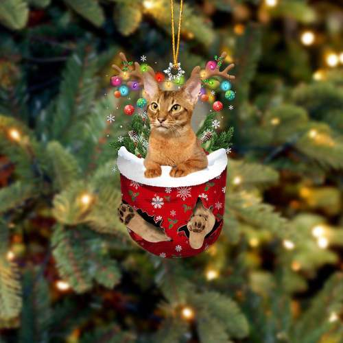 Cat Abyssinian In Snow Pocket Christmas Ornament