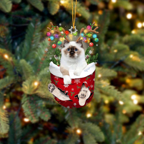 Birman Cat In Snow Pocket Christmas Ornament