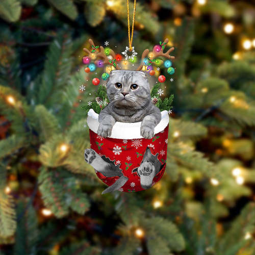 Cat 40 In Snow Pocket Christmas Ornament