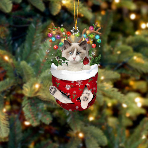 Ragdoll Cat In Snow Pocket Christmas Ornament