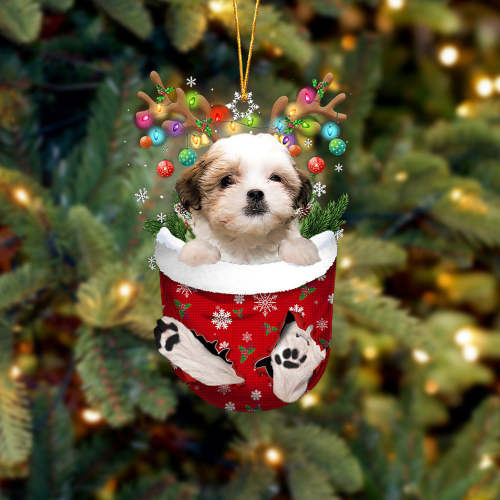Teddy Bear Dog In Snow Pocket Christmas Ornament
