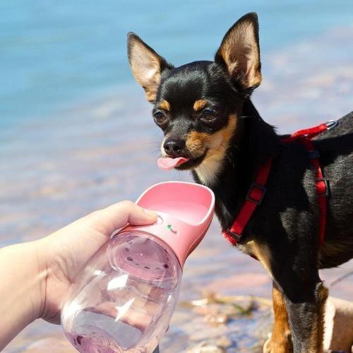 Portable Pet Water Bottle Bowl For Dog Cat