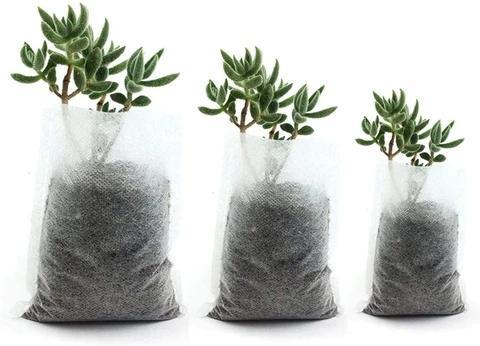 Non-woven Plant Nursery Bags