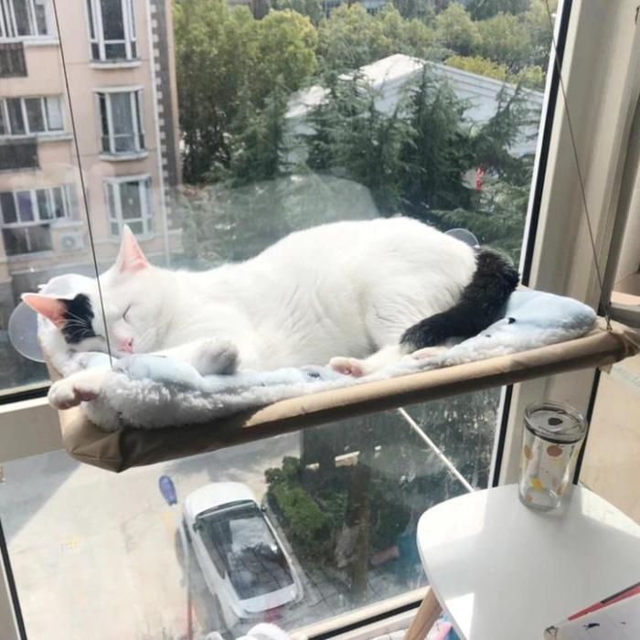 Cat Window Seat Hammock