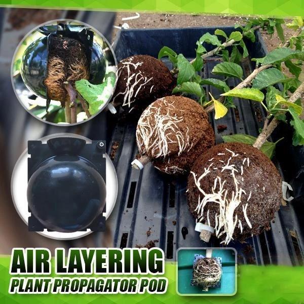 🌱Plant Root Growing Box(BUY 3 GET 1 FREE NOW)
