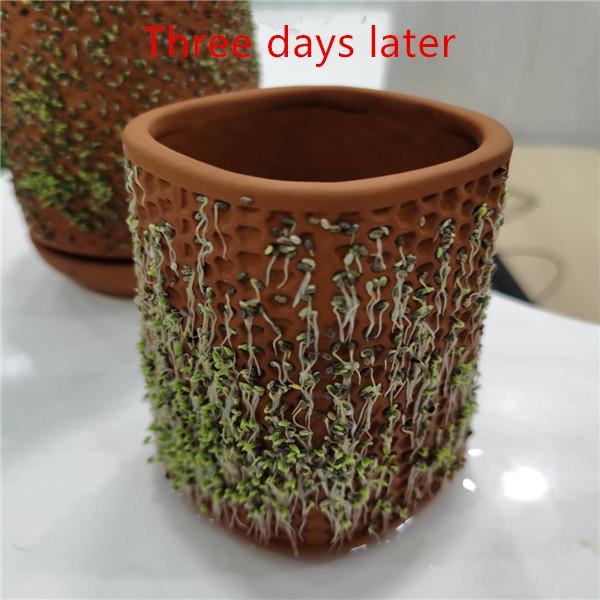 Self-watering Planter Ceramic Flowerpots