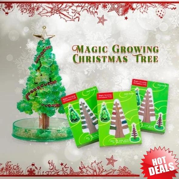 Magic Growing Christmas Tree