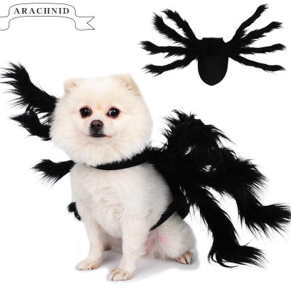 Halloween Spider Costume for Pet