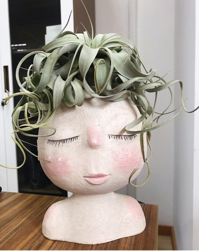 🎁Puppet planter, Custom Plant Hair Style