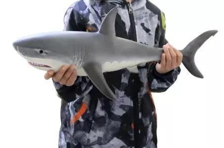 Lifelike Baby Shark Doll
