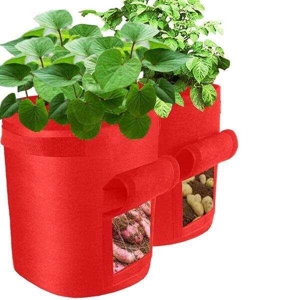 2021 Fruits Vegetables Planting bag