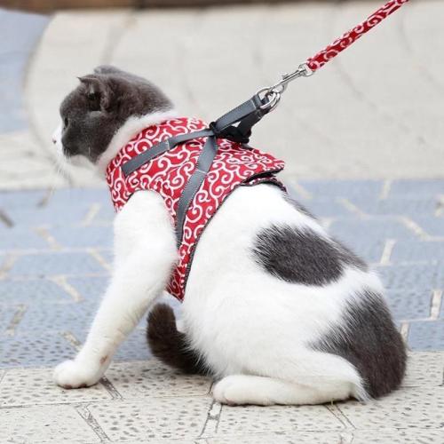 🔥Hot sale🔥-Cat Vest Harness And Leash Set To Outdoor Walking🐱