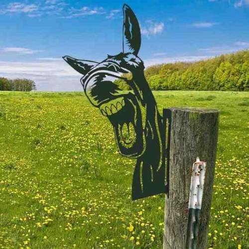 The Laughing Donkey Peeping Metal Art