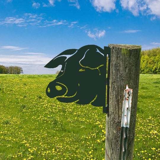 Pork The art of metal peeping boar