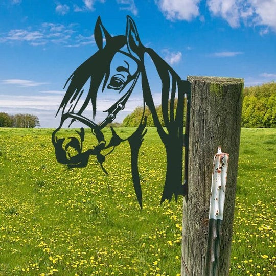 Peeping Art Metal Horse