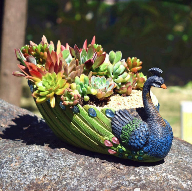 Peacock Flower PotsTM