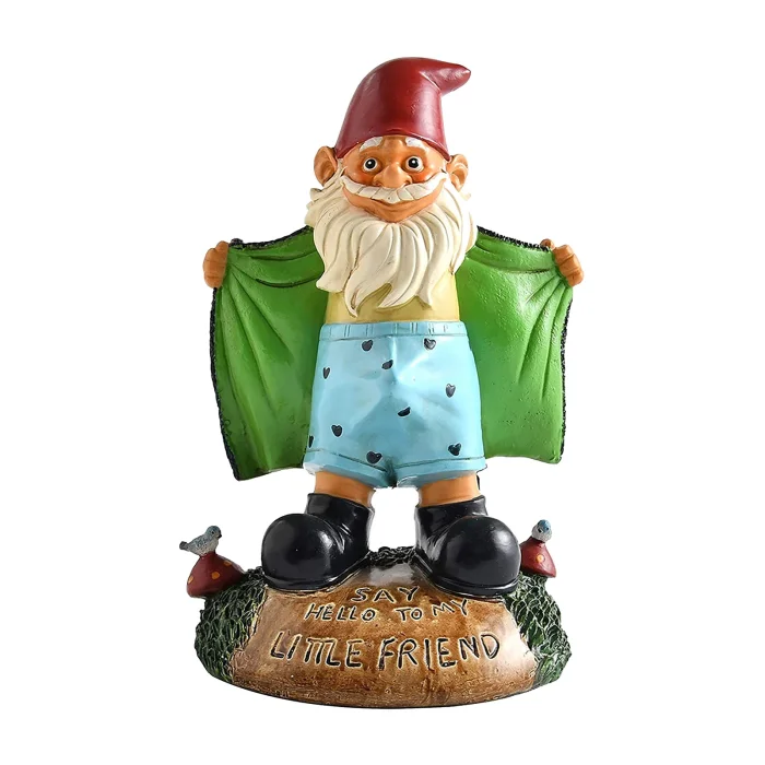 Funny Gnome Miniature Dwarf