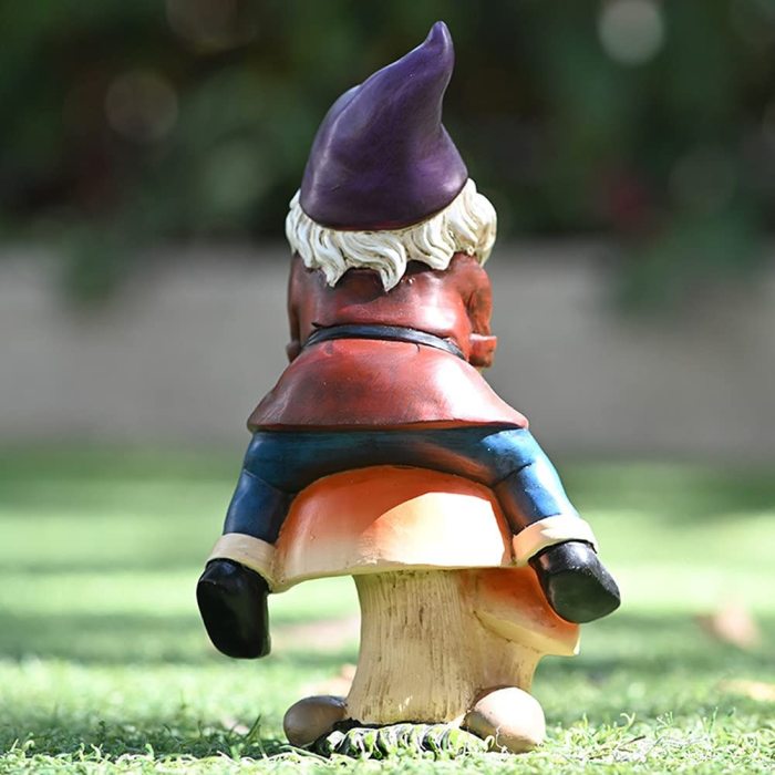 Cartoon Dwarf Riding Mushroom