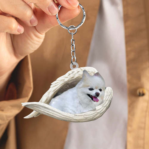 Pomeranian02 Sleeping Angel Acrylic Keychain