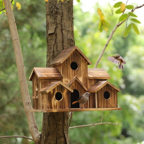 🔥Last Day 50% OFF🔥6 Hole Handmade Natural Bird House for Backyard/Courtyard/Patio Decor