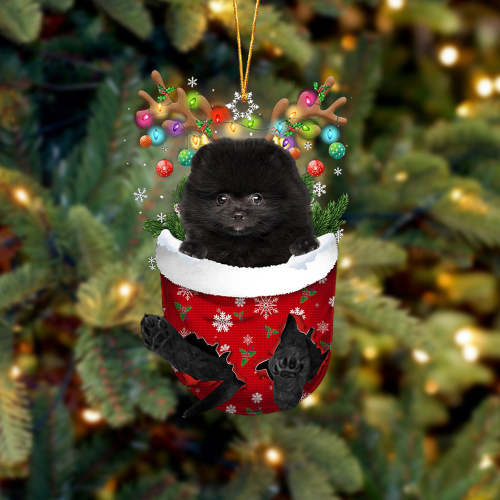 BLACK Pomeranian In Snow Pocket Christmas Ornament