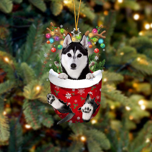 Husky  In Snow Pocket Christmas Ornament