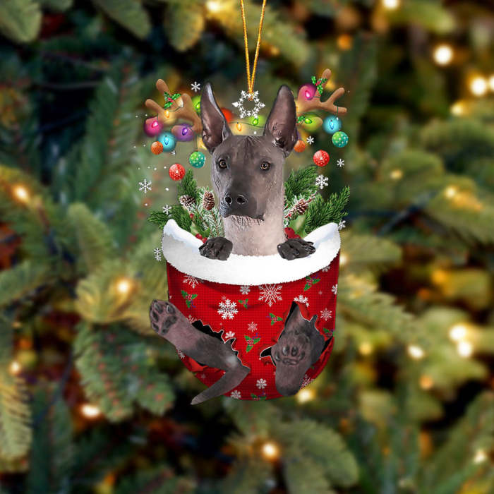 Xoloitzcuintli In Snow Pocket Christmas Ornament