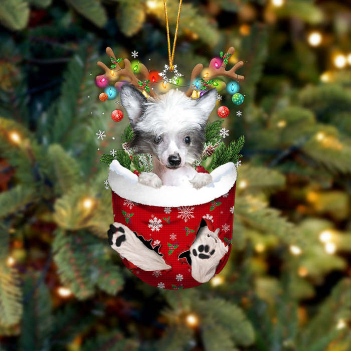 Chinese Crested Dog In Snow Pocket Christmas Ornament