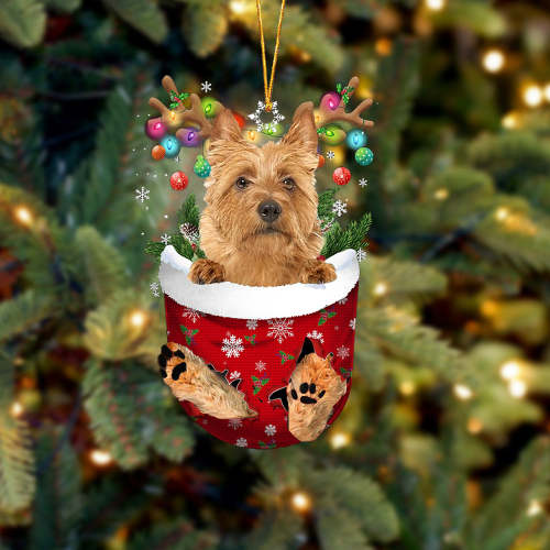 Australian Terrier In Snow Pocket Christmas Ornament