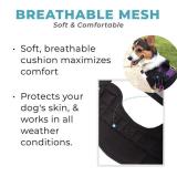 Best Dog Harness That Prevent Dogs From Pulling-Easy on, Easy off