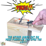 Prank Scare Spider