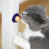 Cat Treats 'KittyChups'