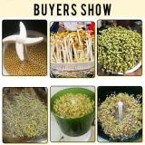 Automatic Sprouter Machine