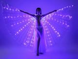 Halloween Rainbow Wings - LED Butterfly Costume