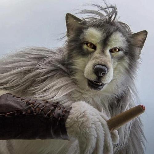 Hand made and painted - Realistic Werewolf Mask
