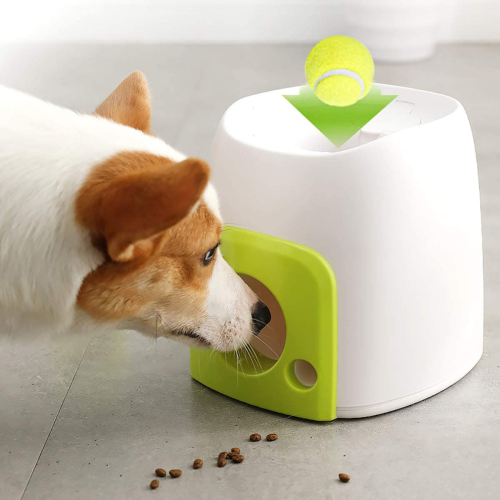 Automatic Interactive Dog tennis launcher