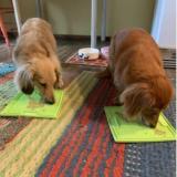 LICK MAT FOR SOOTHING ANXIOUS DOGS