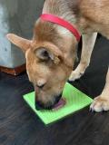 LICK MAT FOR SOOTHING ANXIOUS DOGS