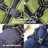Waterproof Pet Jacket With Harness