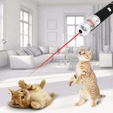 Funny cat laser pointer